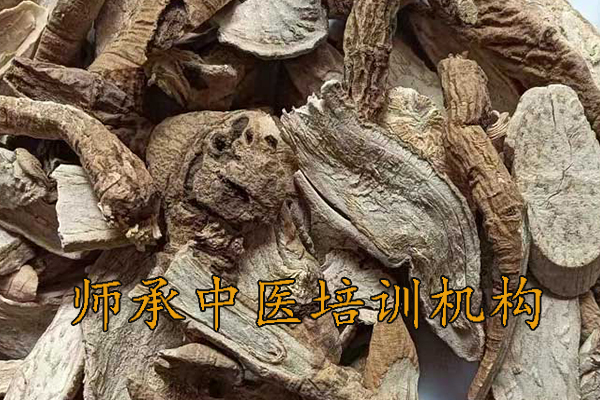 安庆中医师承3年5年培训费用