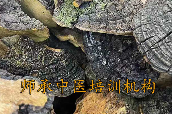 宿迁中医师承培训机构学费多少