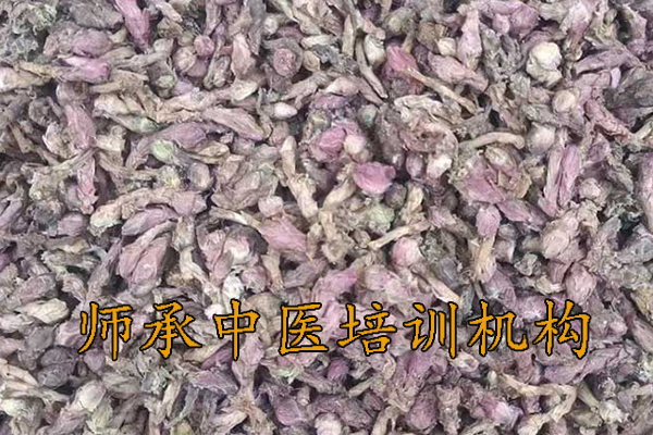 郴州中医师承培训价格