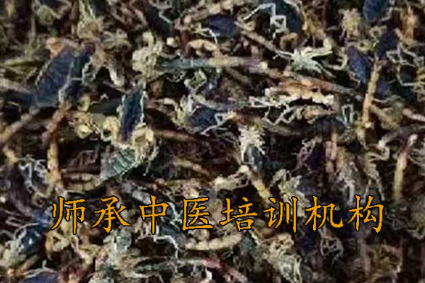 包头中医师承培训多少钱