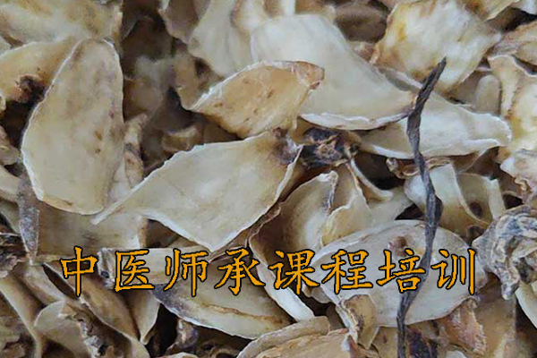 福州中医师承培训班正规机构