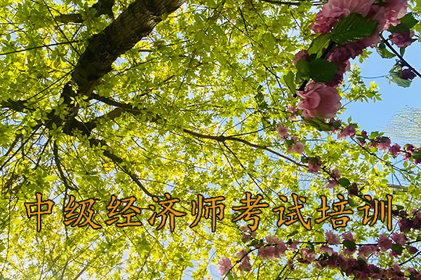 丽水中级经济师培训哪家好