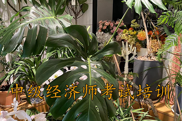 南阳中级经济师报名费用多少