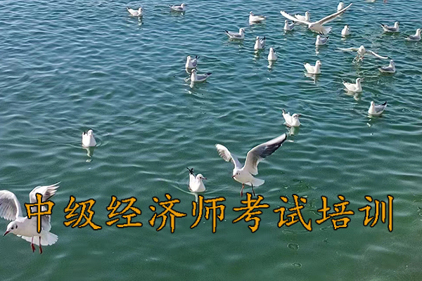 沧州中级经济师培训班有哪些