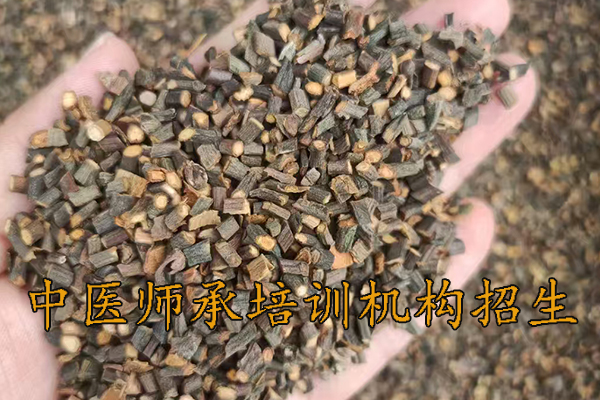 拉萨中医师承培训班正规机构