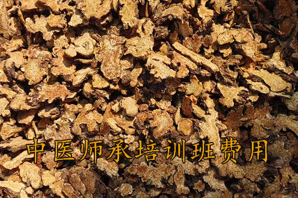 衡阳中医师承培训班哪家好