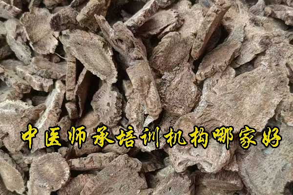 宁德中医师承培训班招生报名全攻略