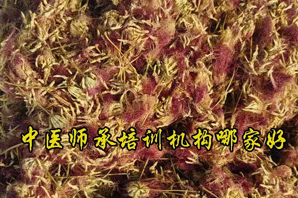 阜阳中医师承培训班正规机构