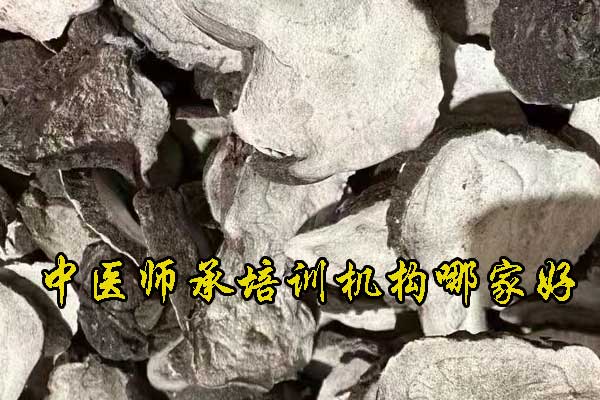 宁德中医师承培训班招生报名全面指导