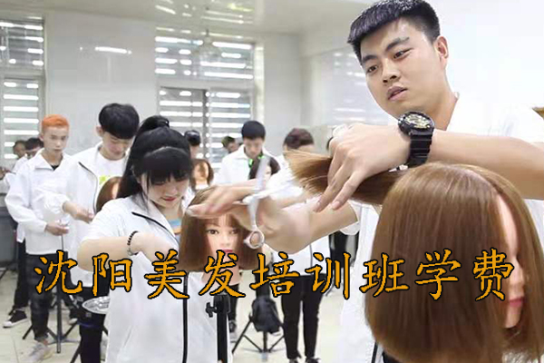 沈阳统丽美发培训班怎么样？