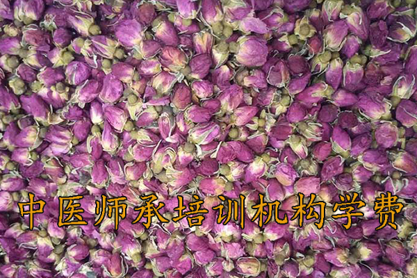 潮州中医师承培训班哪家好