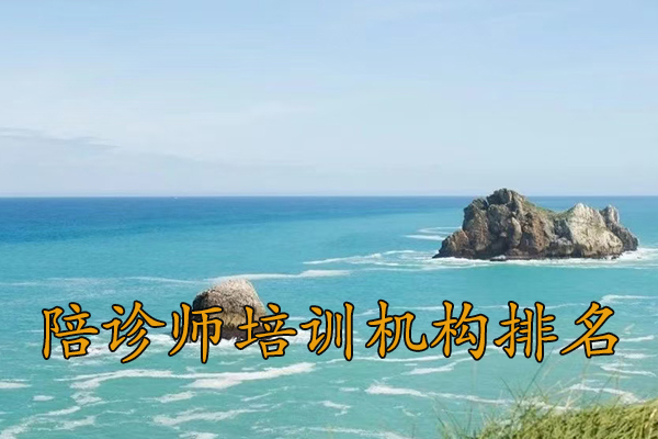 天津陪诊师培训机构排名前十及费用