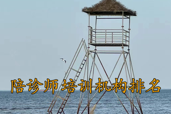 重庆陪诊师培训课程有哪些