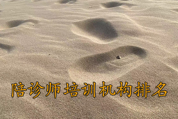 河北陪诊师培训机构哪家好