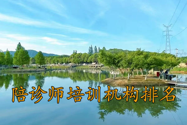 山西陪诊师培训机构排名前十及费用