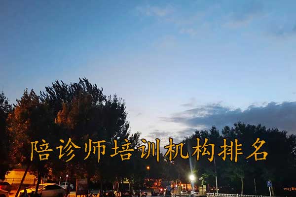 四川陪诊师培训机构哪家好