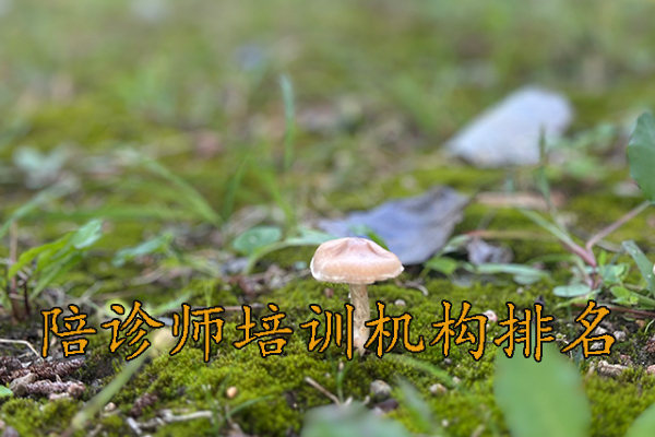 长春陪诊师培训机构排名前十及费用