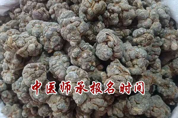 中医师承报名时间2025年具体时间