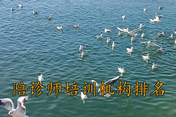 银川陪诊师培训考试报名培训一站式服务