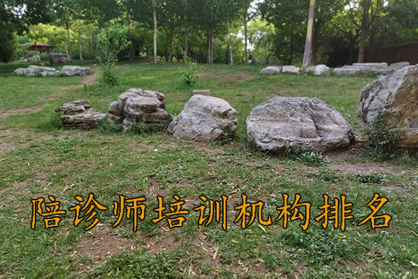 苏州陪诊师培训机构排名前十及费用