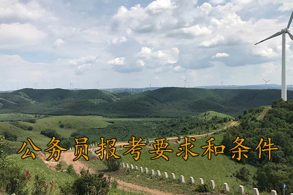 延边考公务员的要求和条件