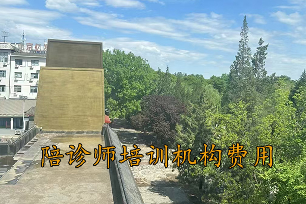 潍坊陪诊师培训课程有哪些