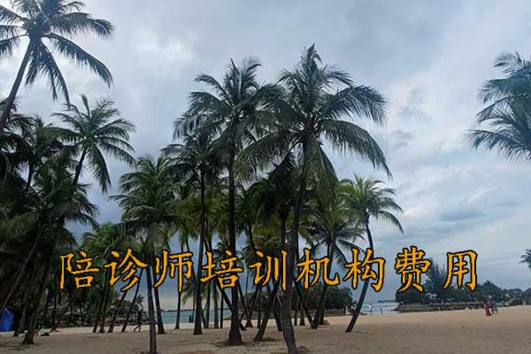 淄博陪诊师培训班学费多少钱