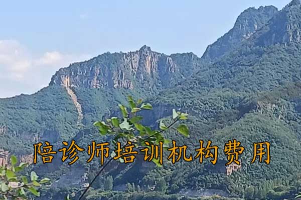 柳州陪诊师培训机构哪家好