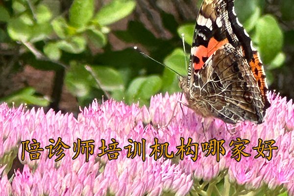 襄阳陪诊师培训班学费多少钱