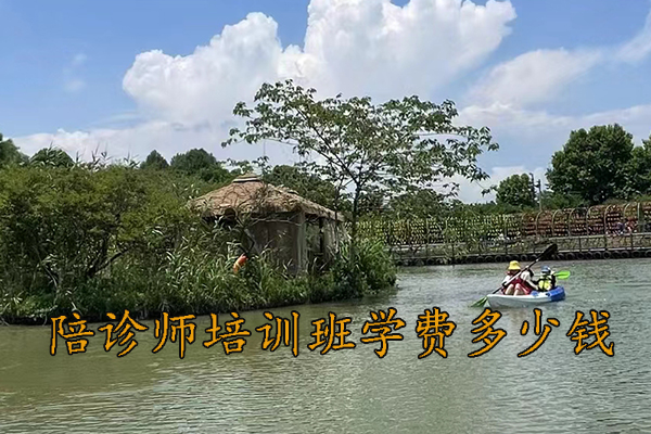 信阳陪诊师培训班招生简章