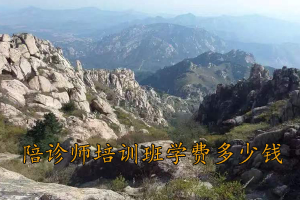 清远陪诊师培训机构费用多少