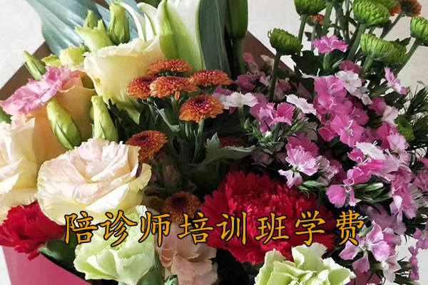 马鞍山陪诊师培训班学费多少钱