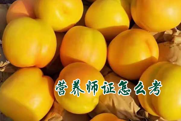 北京营养师证怎么考需要什么条件