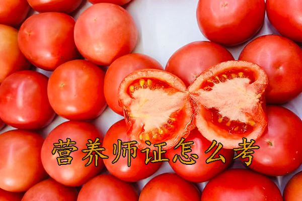 呼和浩特营养师证怎么考需要什么条件