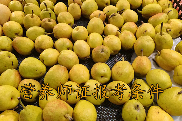 南京营养师证怎么考需要什么条件