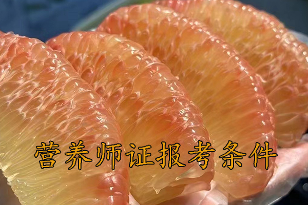 杭州营养师证怎么考多少钱