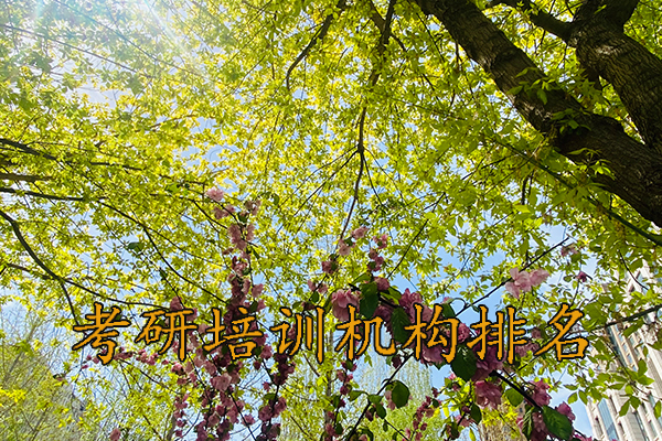 岳阳考研培训机构排名哪家好