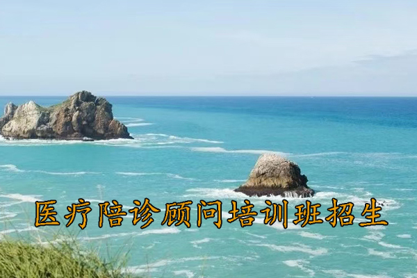 上海医疗陪诊顾问培训取证培训班招生