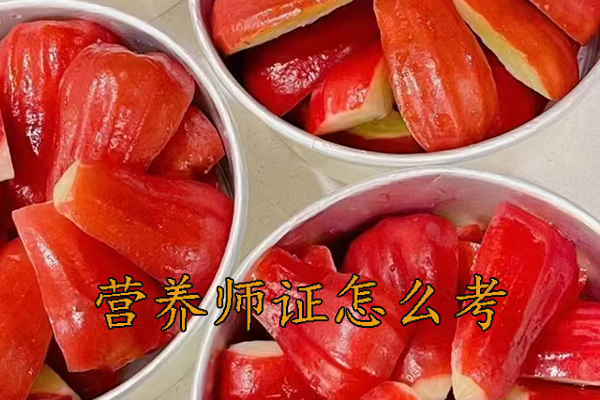 济南营养师证怎么考多少钱