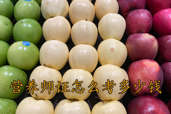 广州营养师证怎么考多少钱