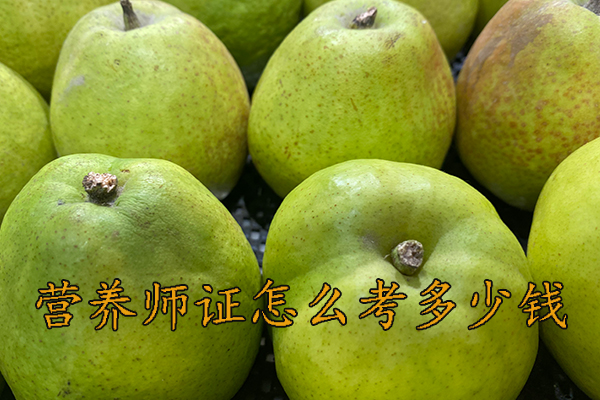 南宁营养师证怎么考需要什么学历