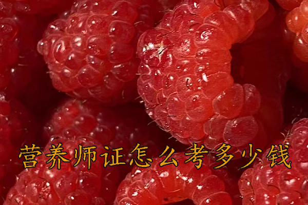 海口营养师证怎么考哪里报名