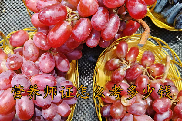 西安营养师证怎么考需要什么条件