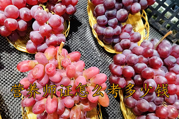 兰州营养师证怎么考多少钱