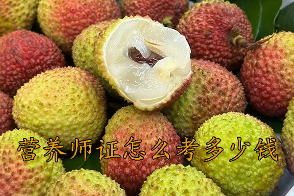 乌鲁木齐营养师证怎么考需要什么条件