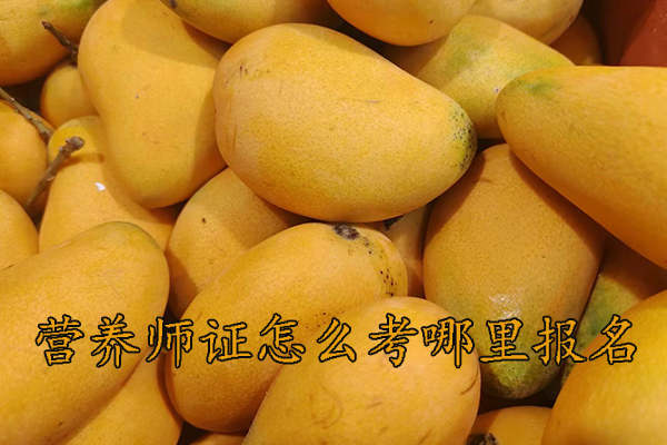 青岛营养师证怎么考多少钱