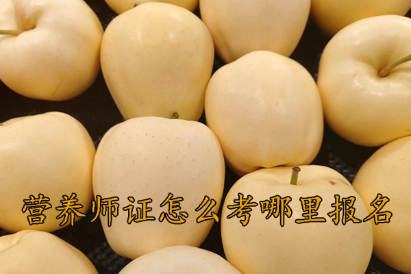 宁波营养师证怎么考需要什么学历