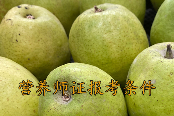 嘉兴营养师证怎么考需要什么条件