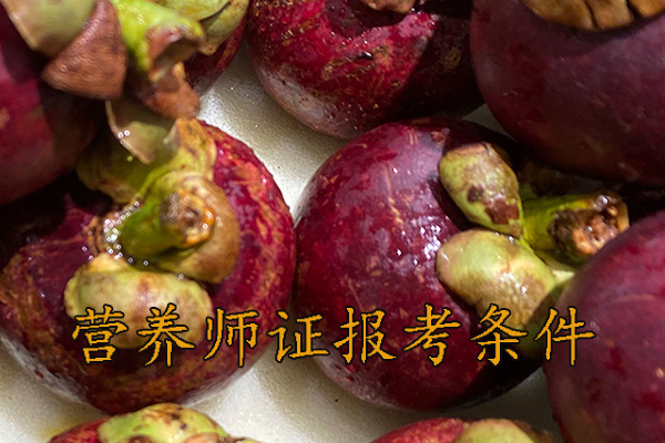 徐州营养师证怎么考多少钱