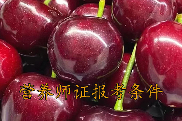 南昌营养师证怎么考需要什么学历